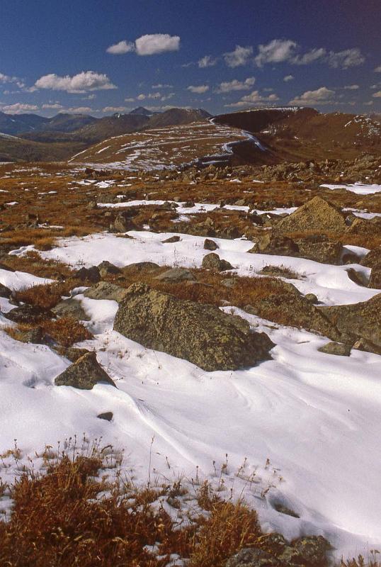 1980-09 Rocky Mtn NP 008 Tundra.jpg